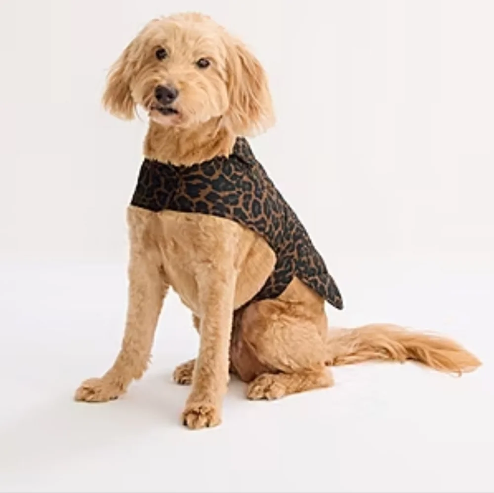 St Johns Bark  Animal Dog Coat  Sz L NWT Cheetah  Print